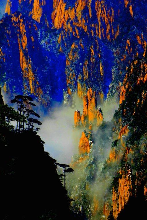 沪江开心词场