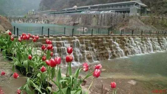 探索怎么才能在大学里不谈恋爱?的热门话题和讨论