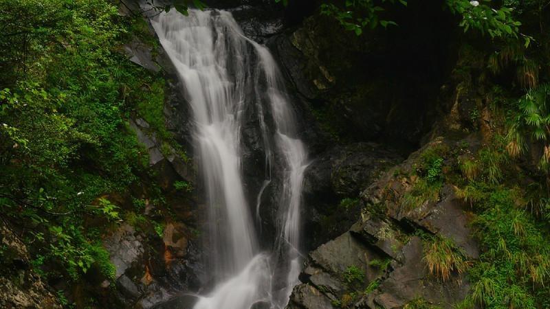 一座园、一片湖、一群鸟 山西潞州绘就美丽生态画卷