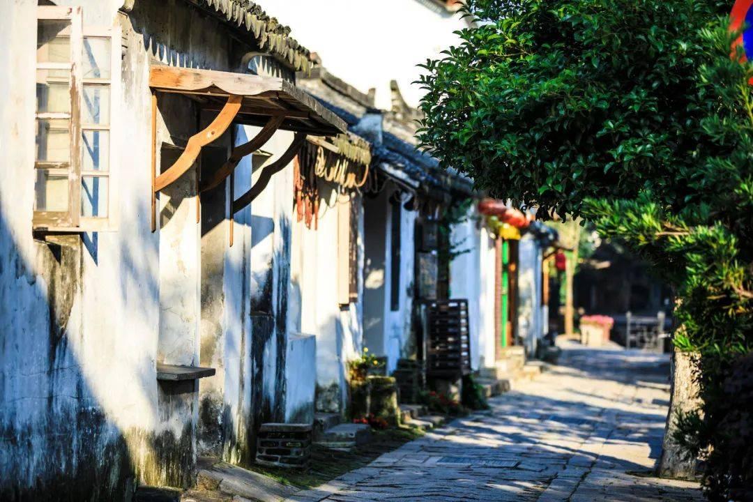 《幻兽帕鲁》基因研究部队位置介绍